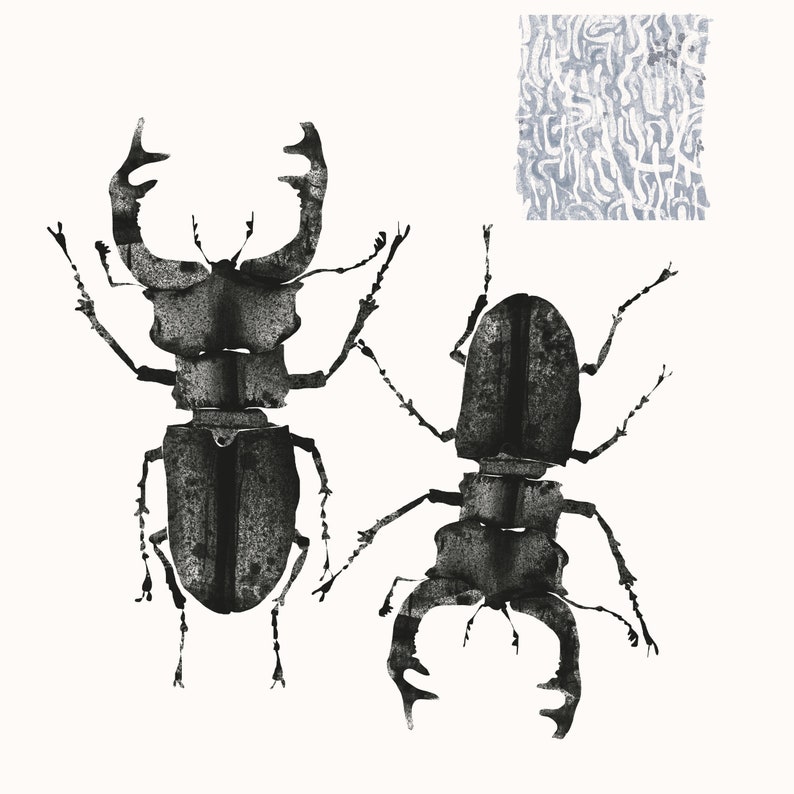 Stag beetles art print for home decor. Size 24 X 24 cm or 9.44 X 9.44 inches image 1