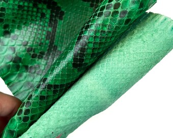 【まとめ買い】 Bright Green Genuine Pythons Leather Full Skins 75cm // 2.6 靴