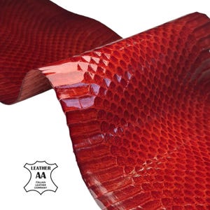 Puede incluir: Primer plano de una lámina de cuero rojo con acabado brillante. El cuero tiene una textura escamosa y está doblado, revelando la parte inferior. El logotipo de Italian Leather Company es visible en la esquina inferior izquierda.