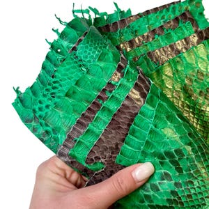 May include: Close-up of several pieces of green and brown snakeskin leather. The leather has a textured, scale-like pattern. The green sections have a bright, glossy finish, while the brown sections are more matte. The edges of the leather are uneven.
