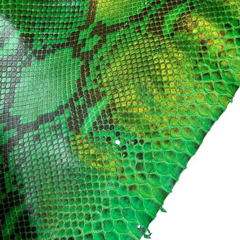 Green Python Snakeskin Bright Green Genuine Pythons Leather Full Skins 75cm // 2.6 Tf and ...