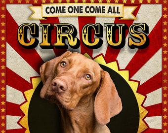 Custom Pet Circus Poster - Personalized with your texts and photo.