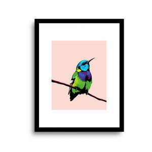 Impresión artística de colibrí / arte de pared de colibrí / ilustración de colibrí / póster de pájaro / decoración de pájaro de arte pop / regalo para observador de aves / SIN MARCO
