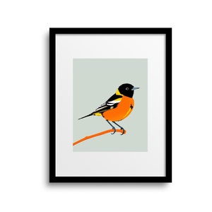 Impresión artística de oropéndola / arte pop de pájaro oropéndola / arte de pared de oropéndola / póster de oropéndola de Baltimore / póster de pájaro del estado de Maryland / regalos para amantes de las aves / SIN MARCO