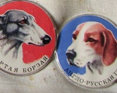 Five 'Hunting dogs' Vintage plastic badges. Free ship with any item. Soviet USSR collection Pointer Irish Setter Hound fox Terrier Greyhound