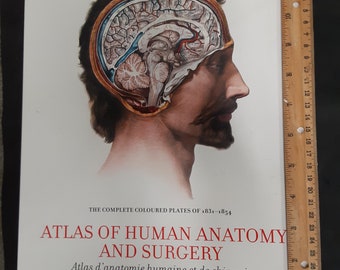 Atlas of Human Anatomy and Surgery,  JM Bourgery