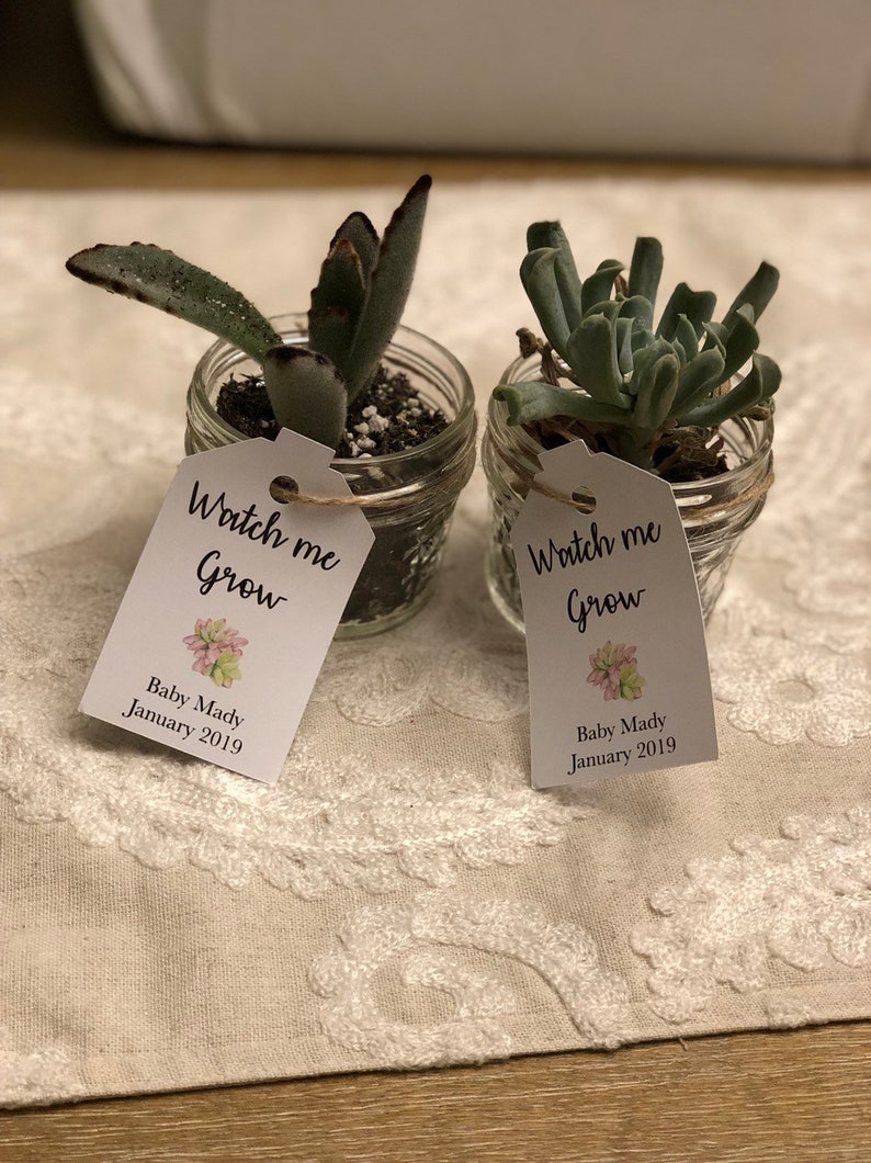 Set of 25 Watch Me Grow Succulent Favor Tags Gift Tags Baby Etsy