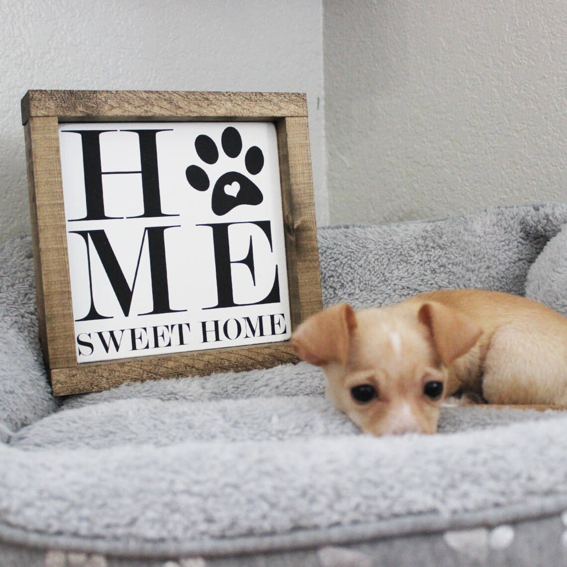 Home Sweet Home Dog Signs Cat Signs Paw Print Signs Puppy - Etsy