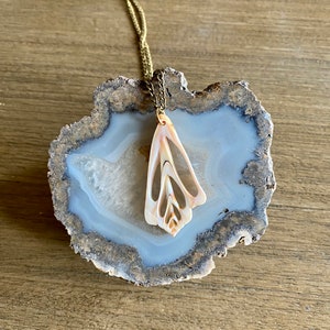 May include: A gold chain necklace with a delicate, intricate seashell pendant. The pendant is a light brown color and has a unique, geometric design.