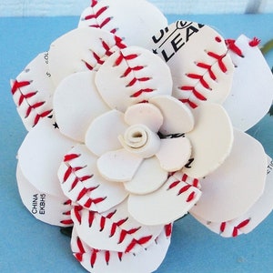 Baseball Rose (Sweetheart Full Bloom)
