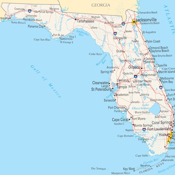 Map of Florida FL - Reference Map - Peel & Stick Removable Wall Decal