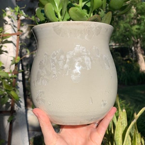 May include: A white ceramic planter with a textured surface, holding a green succulent plant. The planter has a rounded, bulbous shape.