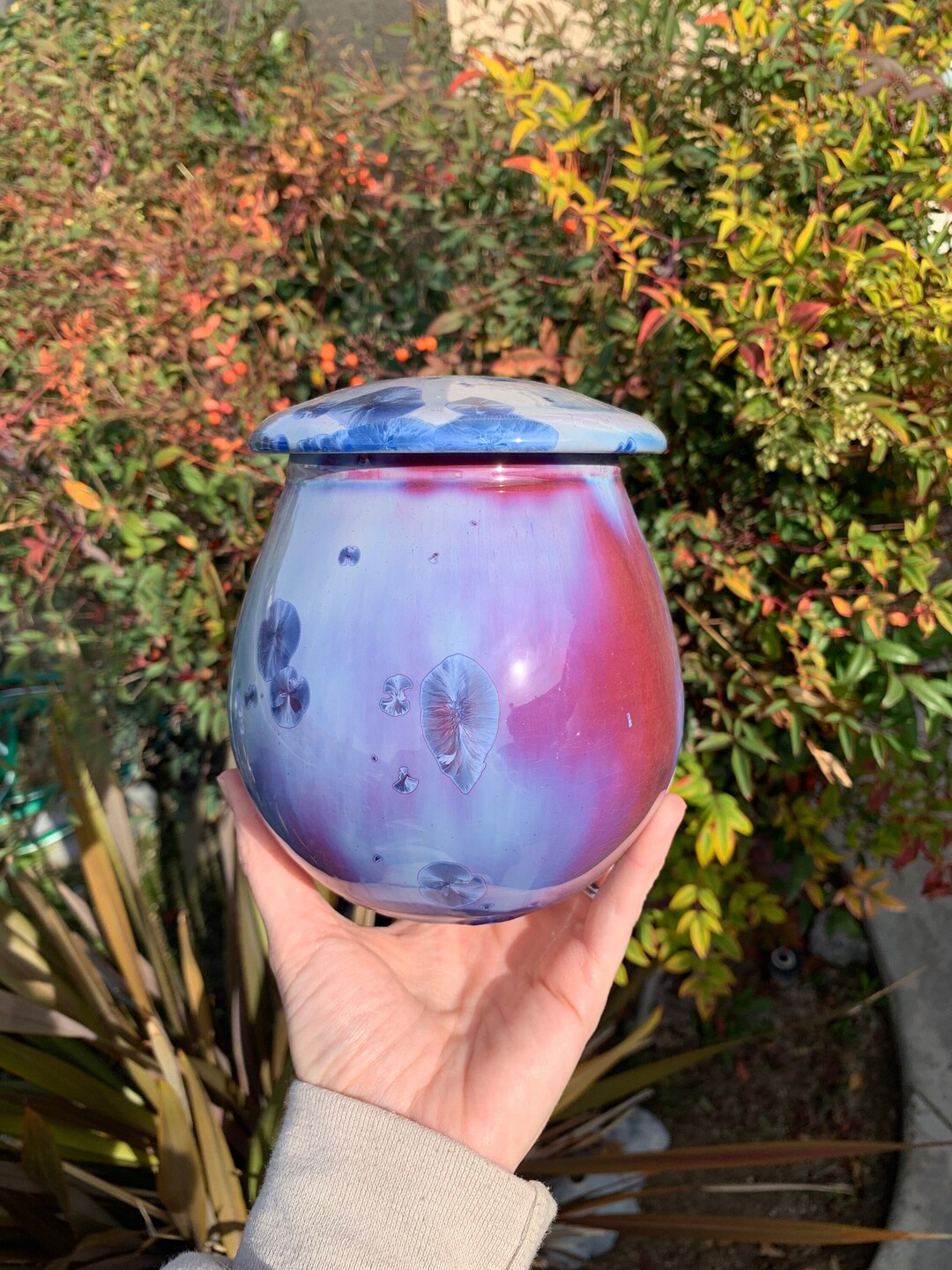 Pettine Urn