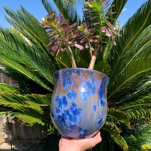 May include: A blue and purple ceramic planter with a textured surface and white speckles. The planter is holding a succulent plant with dark green leaves.