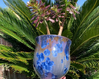 May include: A blue and purple ceramic planter with a textured surface and white speckles. The planter is holding a succulent plant with dark green leaves.