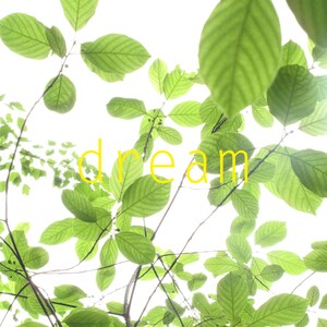 SOÑAR con fotografía digital descargar mensaje inspirador de tarjeta, descarga digital, tarjeta de felicitación del sueño, foto digital, fotografía de sueño