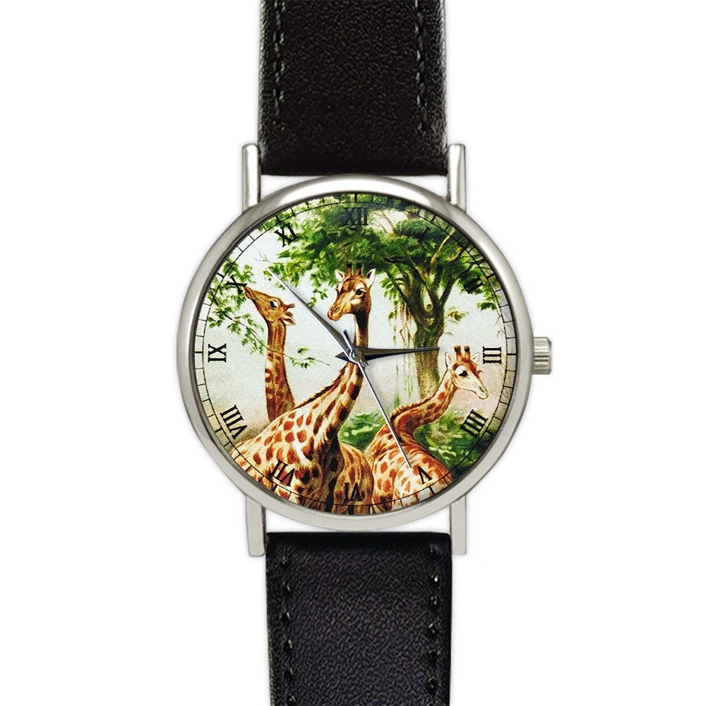 Giraffe Pocket Watch 🦒 Meet The Giraffes Of Zoo Negara~ This New