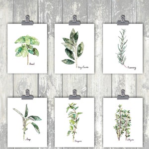 Herb Prints, Herb Painting, Watercolor Prints, Watercolor Painting, Kitchen Decor, Botanical Print, Print Set, Herb Prints, Set of 6 - 8x10