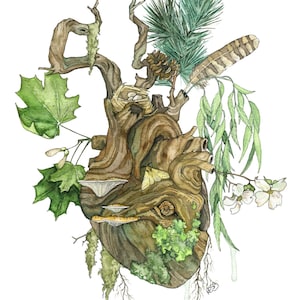 Dipinto di cuore anatomico di albero - Stampa di cuore anatomico, cuore dell'amante degli alberi, cuore acquerello, cuore umano, dipinto di salice, corteccia