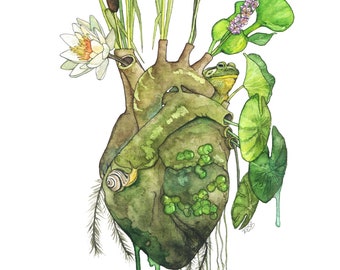 Anatomical Heart Painting - Print of Anatomical Heart, Watercolor Heart, Human Heart, Pond Heart, Marsh Painting, Frog, Waterlily, Lily pads