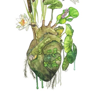 Anatomical Heart Painting - Print of Anatomical Heart, Watercolor Heart, Human Heart, Pond Heart, Marsh Painting, Frog, Waterlily, Lily pads