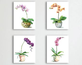 Watercolor Orchid Print Set of 4 - Watercolor Paintings, Orchid Paintings, Botanical Print, Plant, Orchids, Painting, Watercolor Flowers,Art