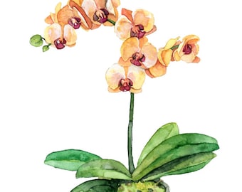 鉢植えの蘭の絵画 - 「オレンジ色の蘭」と題されたプリント、蘭の絵画