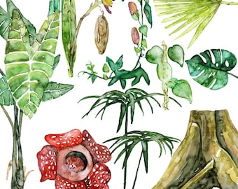 Tropical Plants Painting - Print from Original Watercolor Painting, "Tropical Plant Specimens", Jungle, Tropical, Rainforest, Foliage