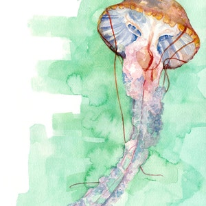 Jellyfish Painting - Print from Original Watercolor Painting, "Jellyfish", Beach Decor, Beach House, Seashore, Under the Sea