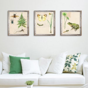 Watercolor Botanical Paintings Print Set of 3 Nature Collection,Botanical Print, Botanical Art, Fern Print, Biology, Science Art, Prints image 2