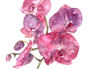 Pink Orchid Print - Painting titled, "SC Orchid", Watercolor Flowers, Watercolor Print, Orchid Plant, Orchid Painting, Orchid Art,Home Decor