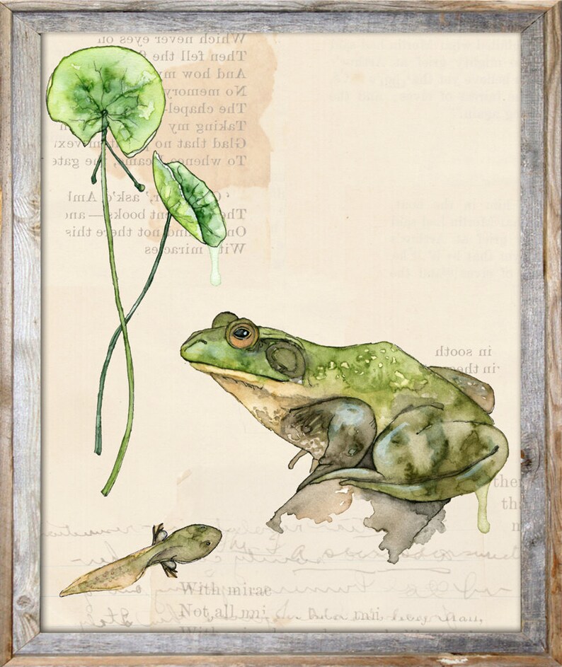 Botanical Print Painting Titled Nature Collection, Pond Watercolor Print, Frog, Art Print, Botanical Print, Wall Art, Painting,Botanical image 4