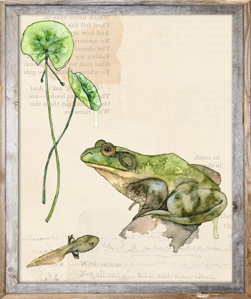 植物プリント - 「自然コレクション、池」と題された絵画 水彩画