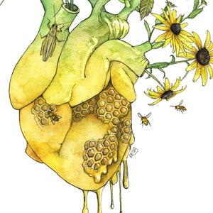May include: A watercolor painting of a human heart with honeycomb and dripping honey. The heart is surrounded by green leaves and yellow flowers with bees flying around them.