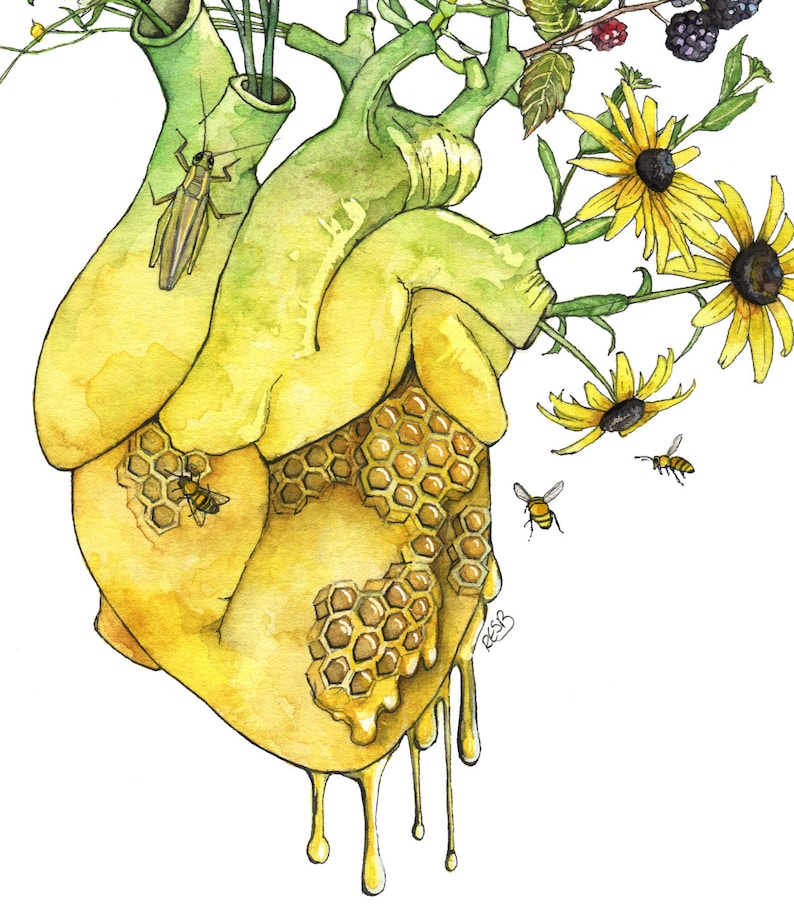 May include: A watercolor painting of a human heart with honeycomb and dripping honey. The heart is surrounded by green leaves and yellow flowers with bees flying around them.