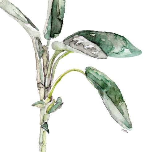 ヴィンテージ　ハーブ　アート　FRESH HERBS il_fullxfull.867982685_1kif.jpg