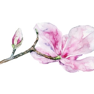 Magnolia Painting - Print from Original Watercolor Painting, &quot;Magnolia 2&quot;, Pink Magnolia, Botanical, Watercolor Flowers