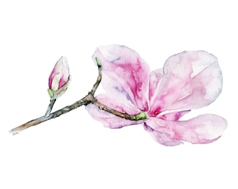 Magnolia Painting - Print from Original Watercolor Painting, "Magnolia 2", Pink Magnolia, Botanical, Watercolor Flowers