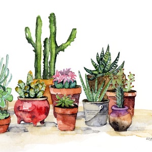 Potted Succulents Painting Watercolor Print titled, Potted Plants, Succulent, Cactus Print, Botanical, Succulent Plants, Painting, Print image 4