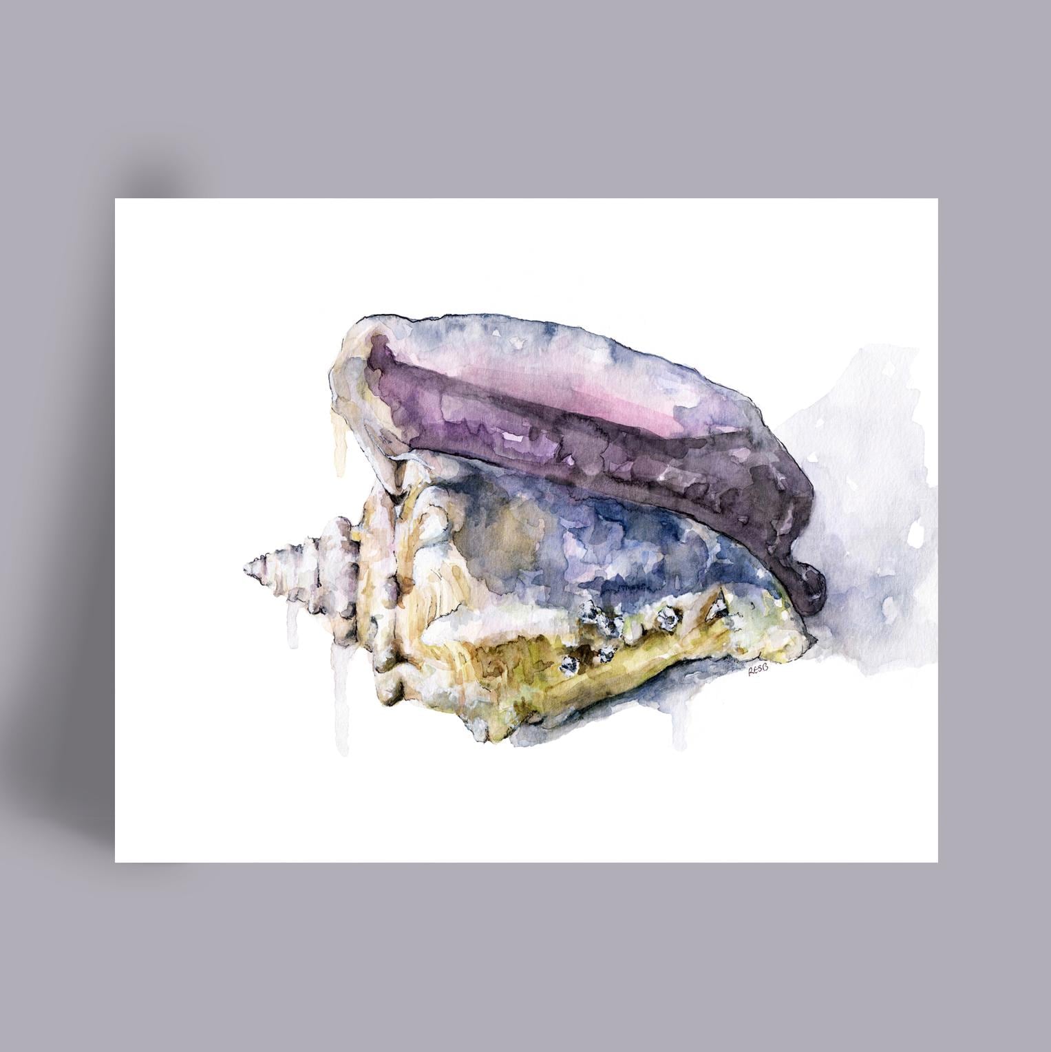 Seashell Conch Print - Coastal Home Decor, Sea Shell Painting, Beach ...