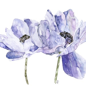 Blue Flower Painting Print from Original Watercolor Painting, Blue Anemone, Botanical, Blue Flower, Watercolor Flower image 1