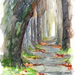 Forest Path Painting - Print from Original Watercolor Painting, "Sycamore Path", Woodland Decor, Woods, Forest, Watercolor Landscape