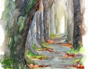 Forest Path Painting - Print from Original Watercolor Painting, "Sycamore Path", Woodland Decor, Woods, Forest, Watercolor Landscape