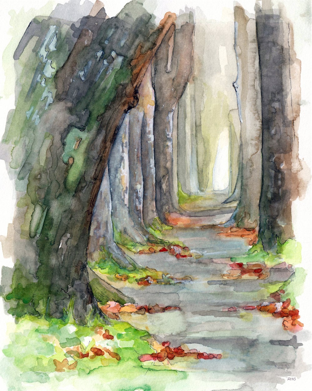 Cuadro numerado para pintar Walk in the Forest - Wooden Path Among