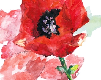 Flower Painting - Print from Original Watercolor Painting, "Poppies", Red Flower, Garden Window