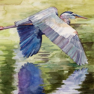 Blue Heron Painting - Print from Original Watercolor Painting, "Blue Heron", Flying Bird, Great Blue Heron