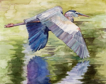 Blauer Reiher - Druck nach Original Aquarell, "Blaureiher", Fliegender Vogel, Großer Blaureiher