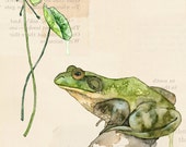Botanical Print - Painting Titled "Nature Collection, Pond" Watercolor Print, Frog, Art Print, Botanical Print, Wall Art, Painting,Botanical