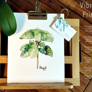 May include: Watercolor painting of a basil plant on white paper with the word "Basil" and "RESO" written below. The print is framed and ready to hang. The text "Vibrant Prints" is written in the top right corner of the image. The text "Printed on Finestra fine art paper" is written below the text "Vibrant Prints". The text "Available in multiple paper options" is written below the text "Printed on Finestra fine art paper". The text "Printed using archival ink and paper" is written below the text "Available in multiple paper options". The text "Arrives ready to frame, printed to edge" is written below the text "Printed using archival ink and paper". The text "Perfect for gift giving" is written below the text "Arrives ready to frame, printed to edge". The text "Eco-friendly shop" is written below the text "Perfect for gift giving".