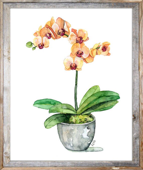 鉢植えの蘭の絵画 - 「オレンジ色の蘭」と題されたプリント、蘭の絵画